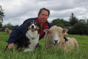 Rare Breed Week: Devon & Cornwall Longwool.