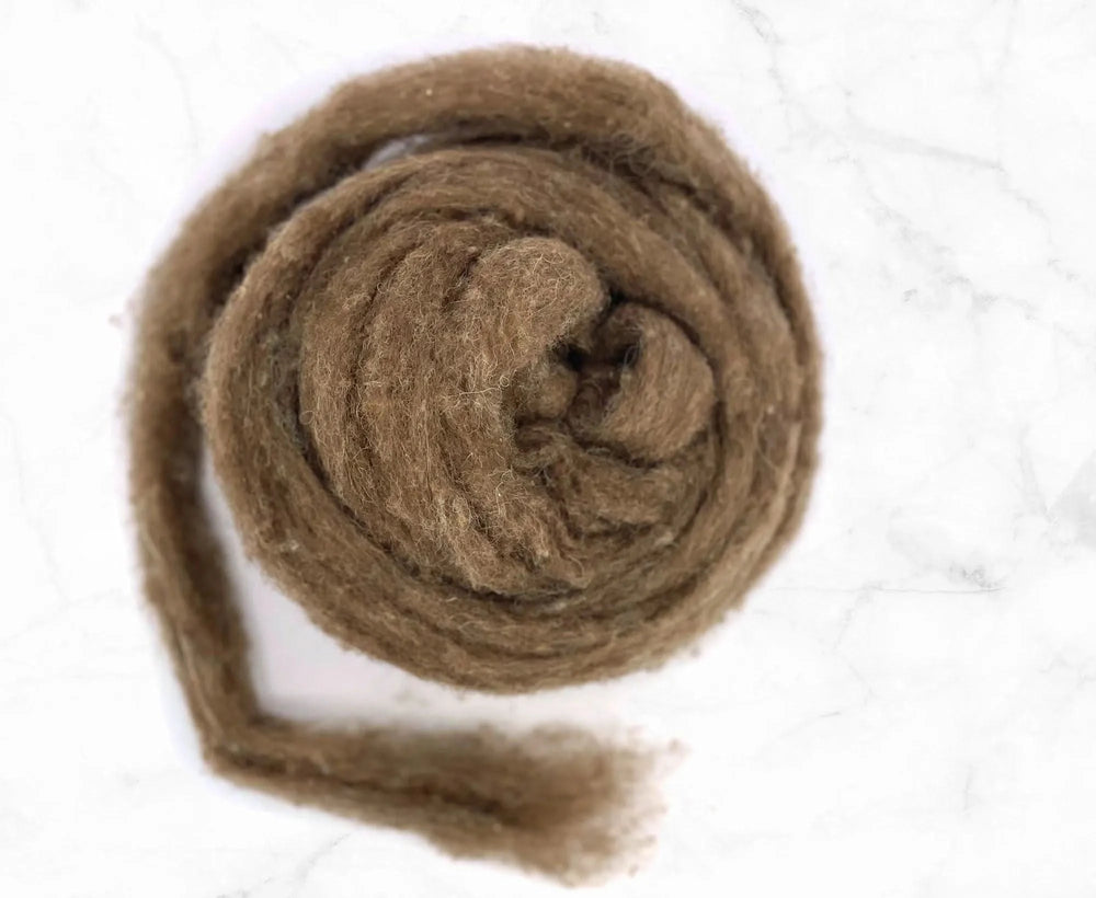 Carded Moorit Brown Shetland Sliver Carded Wool WoW