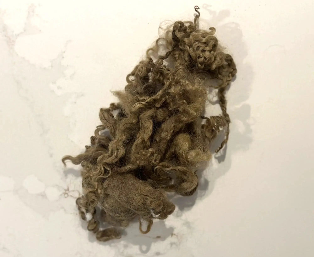 Locky Wensleydale Wool Locks Pretzel Effect Fibres World Of Wool Retail