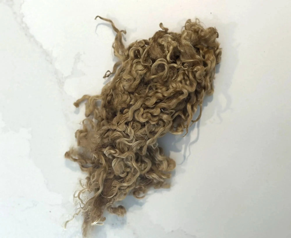 Locky Wensleydale Wool Locks Wafer Effect Fibres World Of Wool Retail