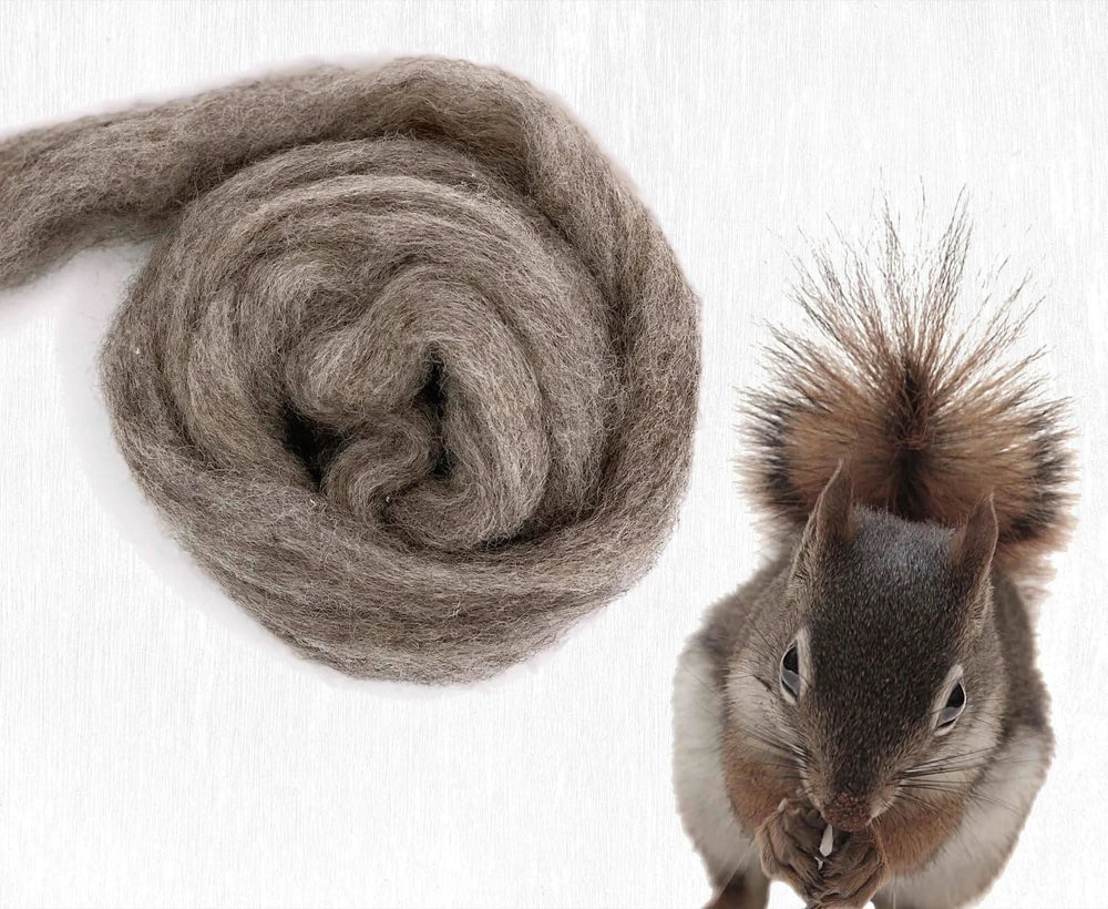 Squirrel Carded Wool WoW