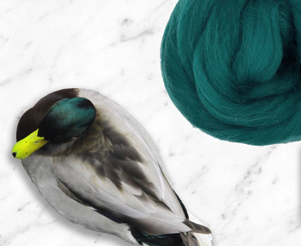 Corriedale Mallard Dyed Wool WoW