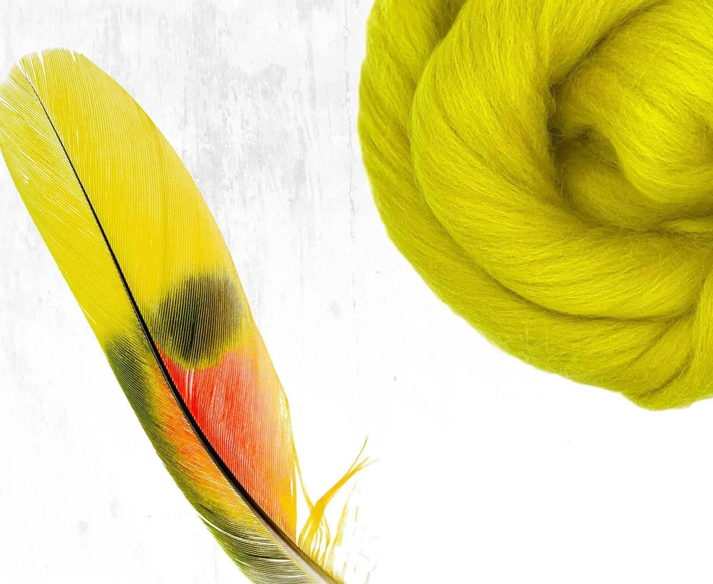 Superfine Merino Mustard Dyed Wool WoW