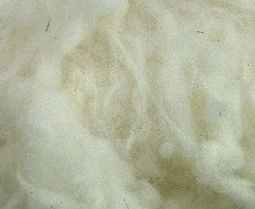 Scoured Corriedale Fleecewool Natural Wool Top WoW