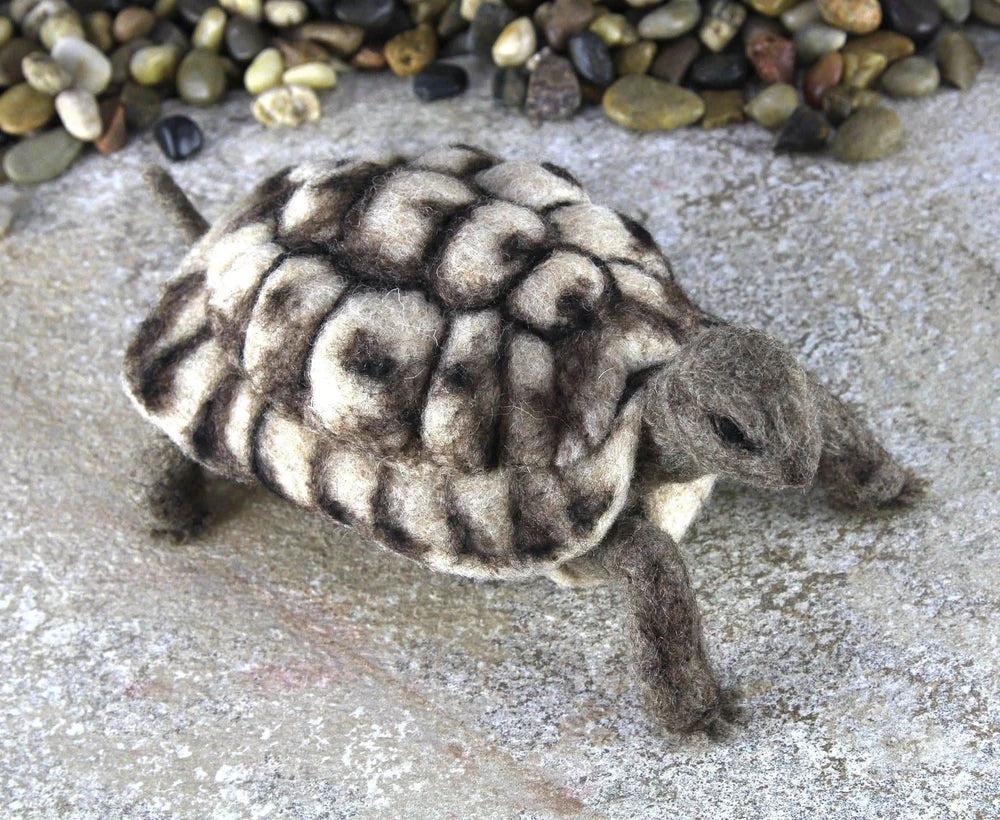 Toto The Tortoise | Needle Felting Kit Felting Kits WoWkit