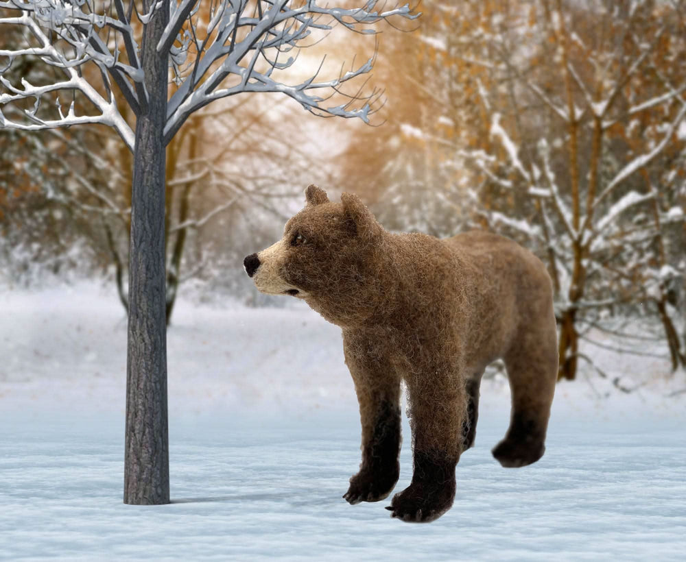 Bruno The Bear | Needle Felting Kit Felting Kits WoWkit