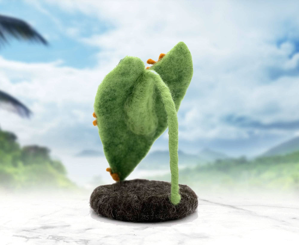 Fonzo the Frog | Needle Felting Kit Felting Kits WoWkit