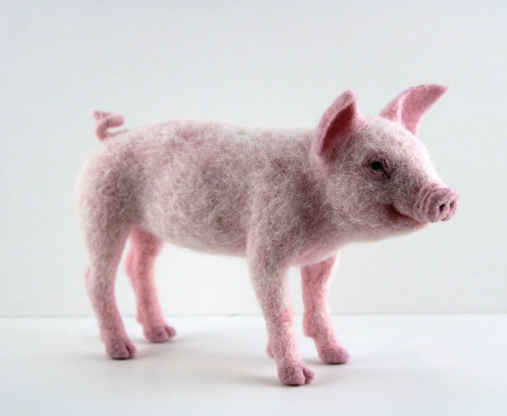 Pippin The Pig | Needle Felting Kit Felting Kits WoWkit