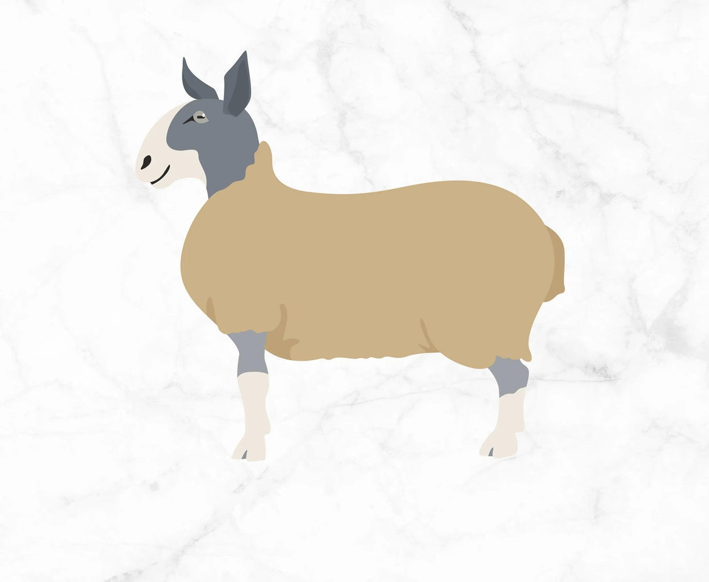Blue Faced Leicester Wool