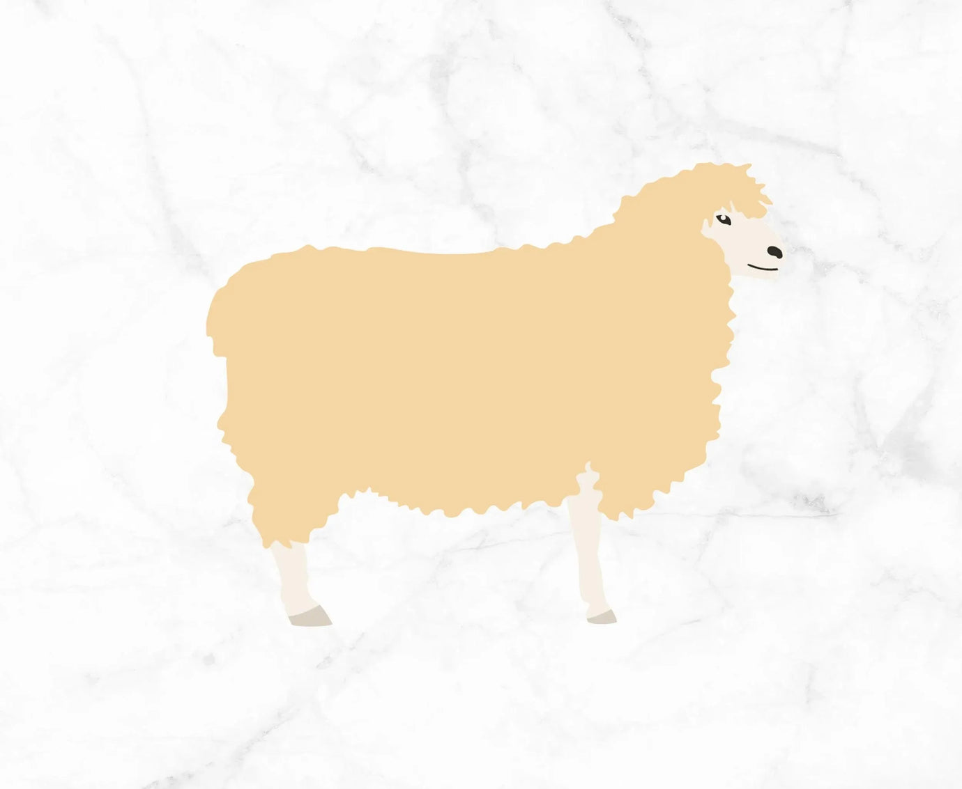 Falkland