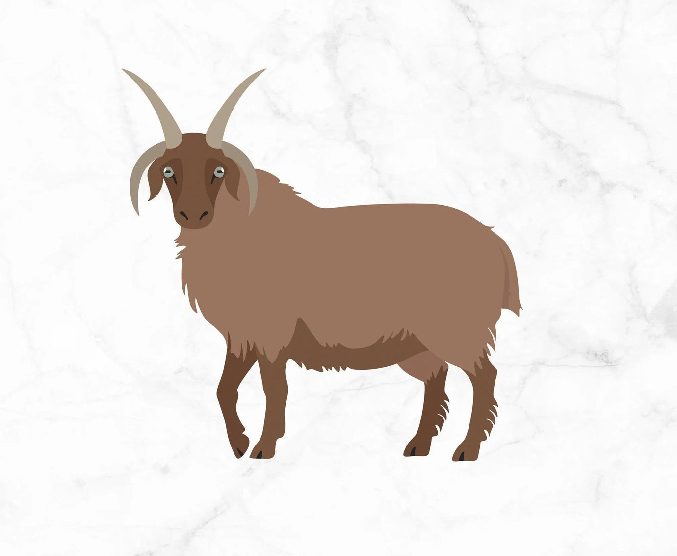 Manx Loaghtan.
