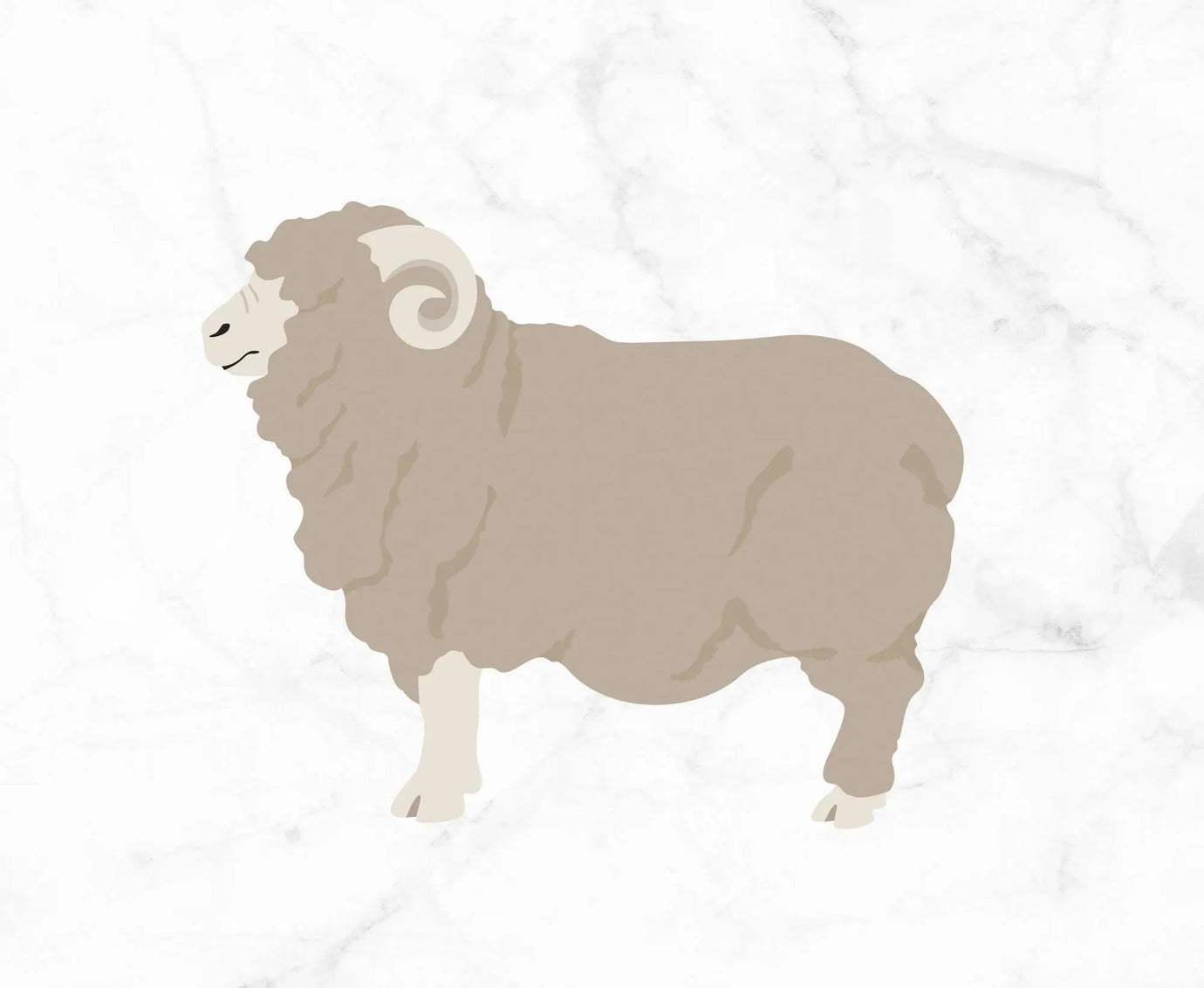 Merino