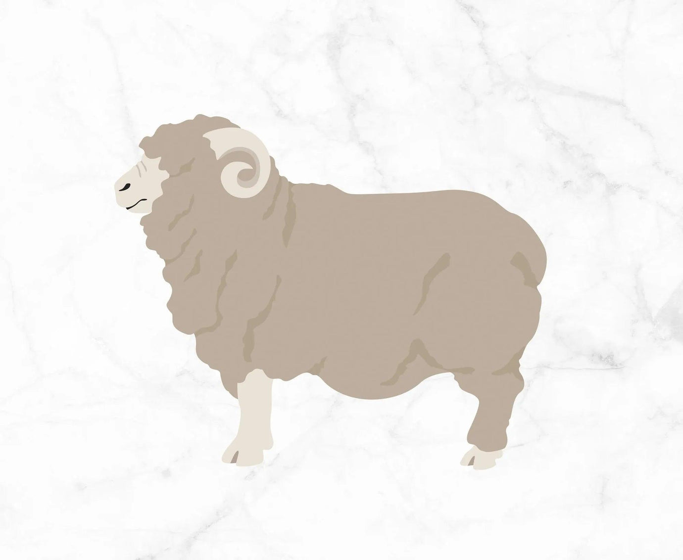 Merino.