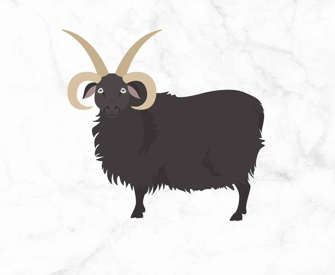 Hebridean.