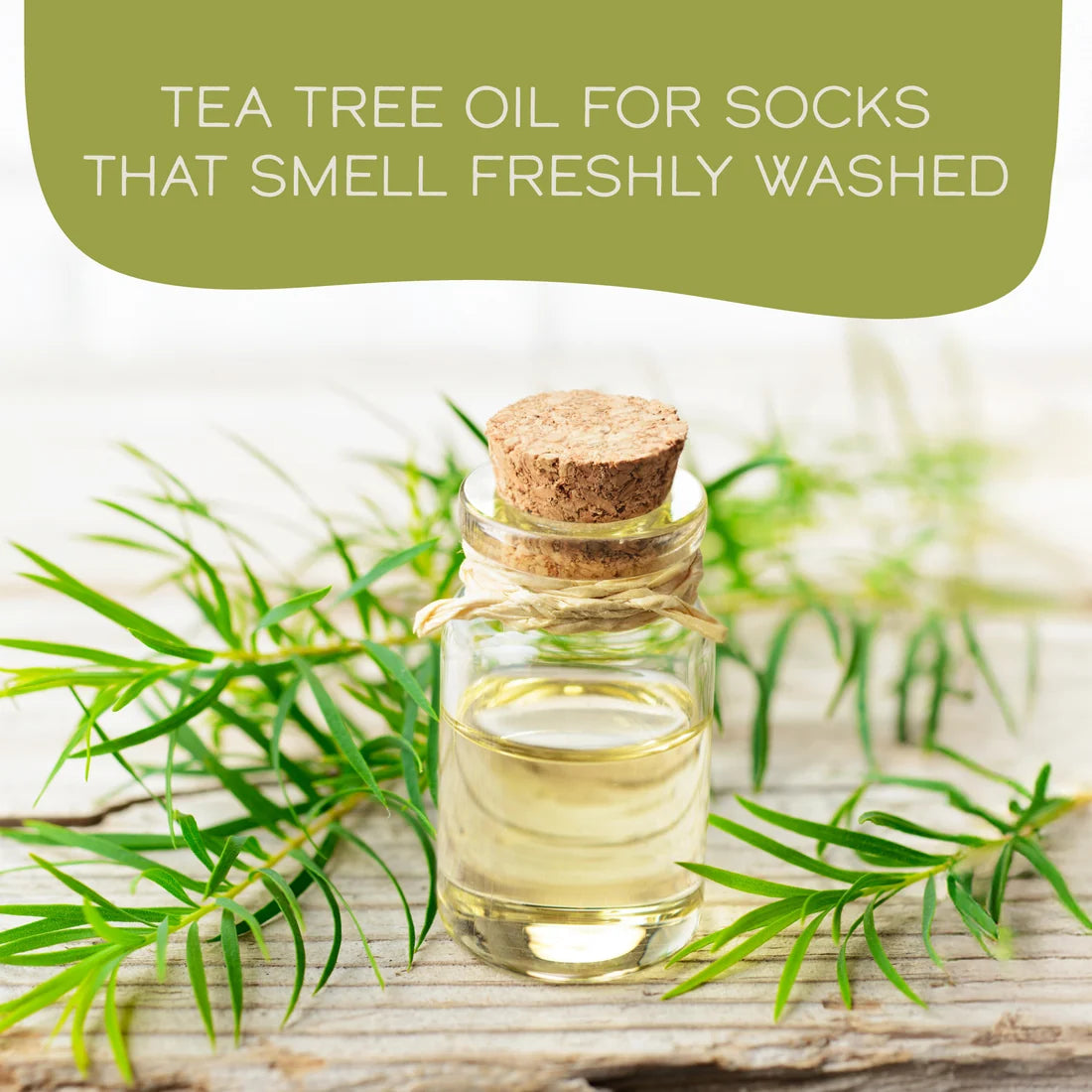 Sock Wash by Yarn Food