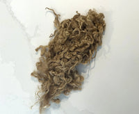 Locky Wensleydale Wool Locks Wafer.