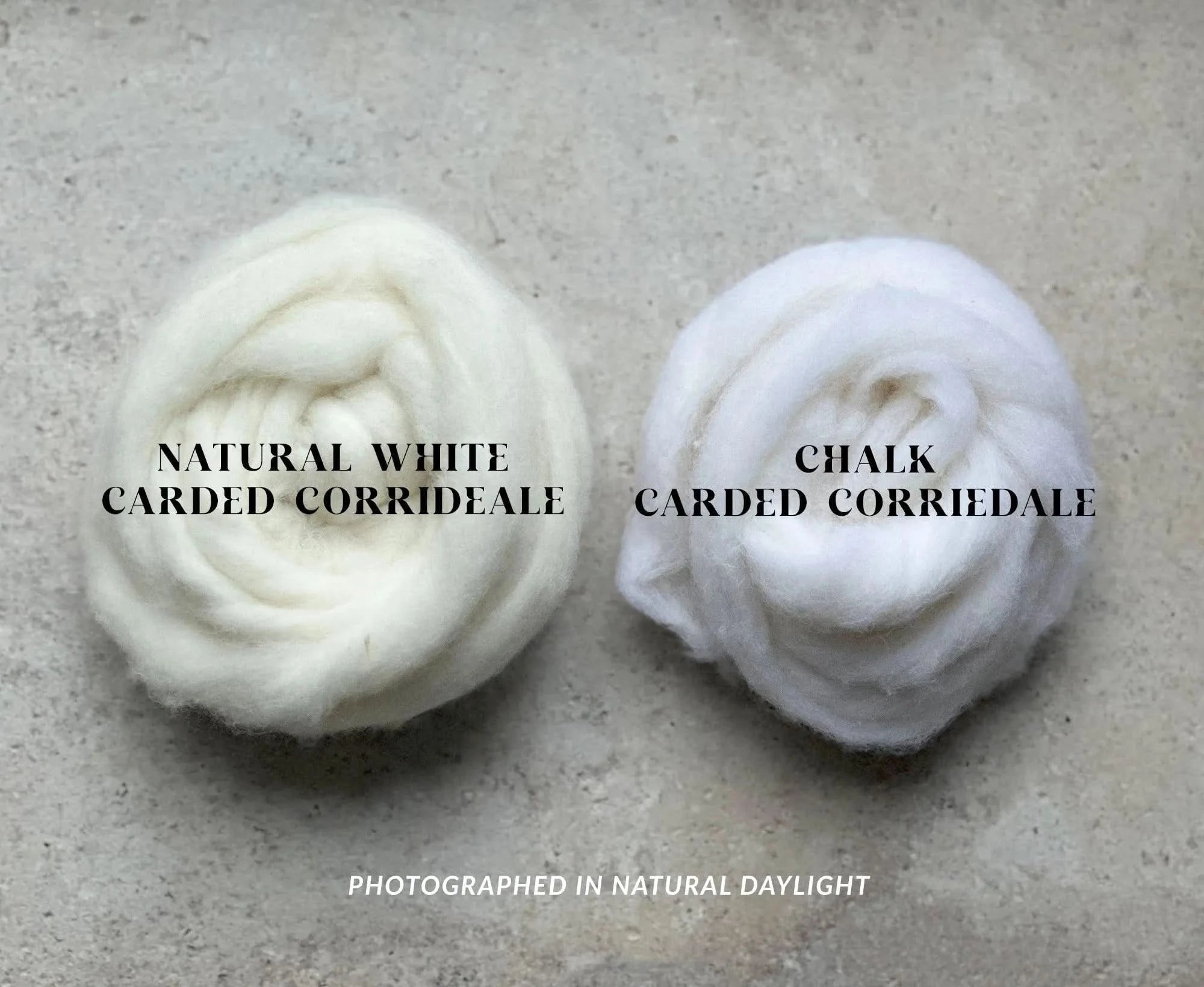 Carded Corriedale Sliver Chalk Carded Wool WoW