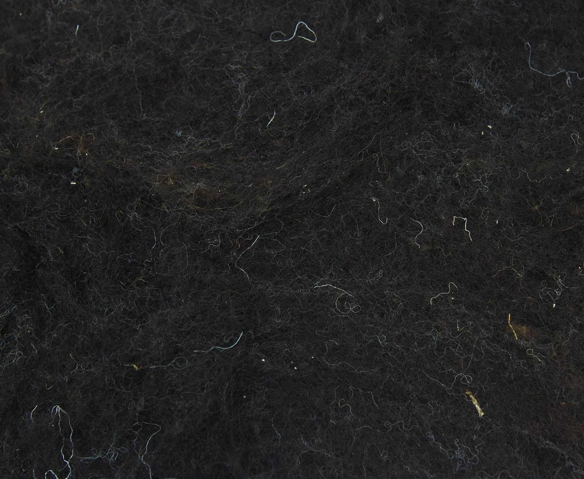 Carded Black Welsh Batt - World of Wool