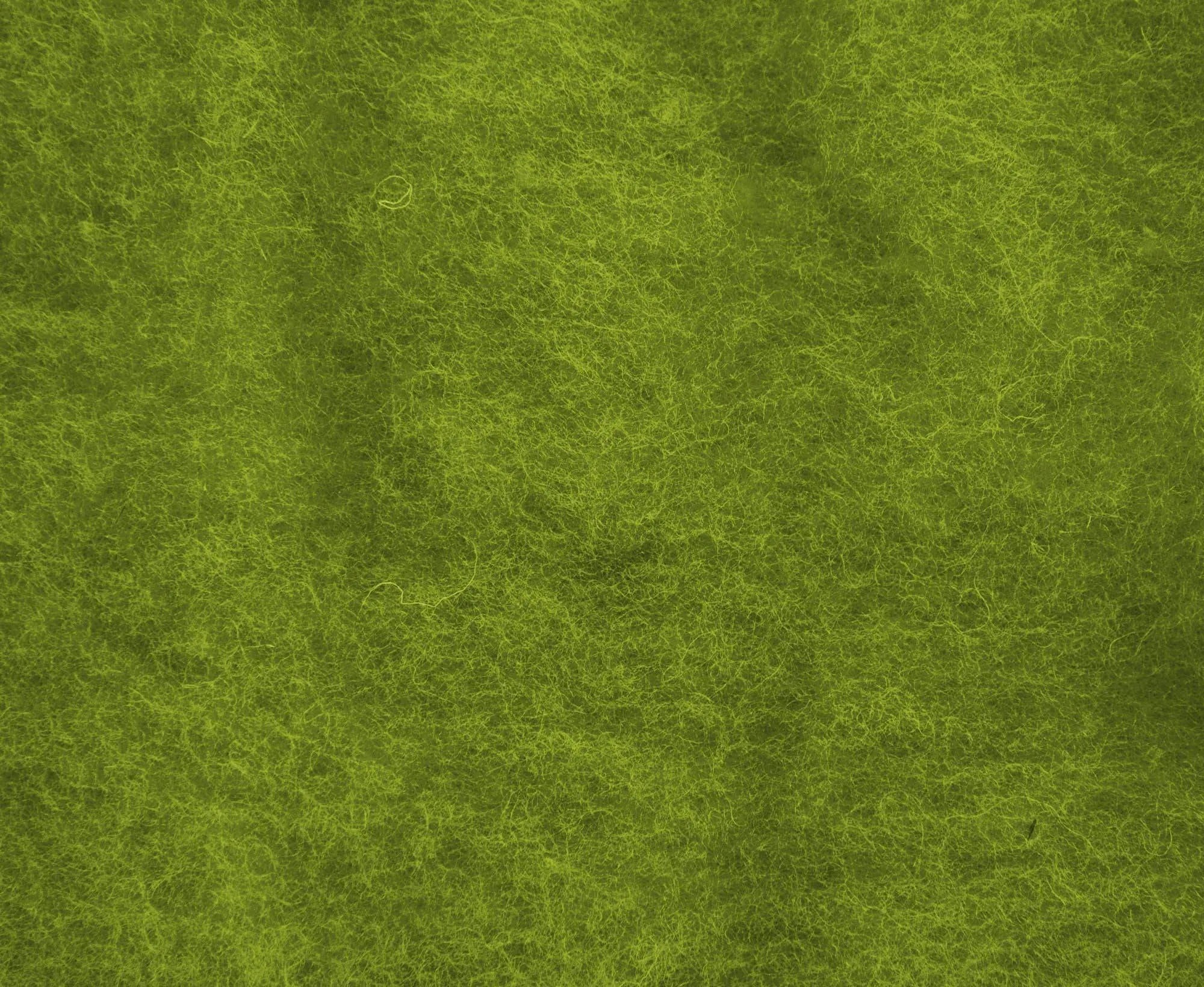 Carded Perendale Batt Lichen.