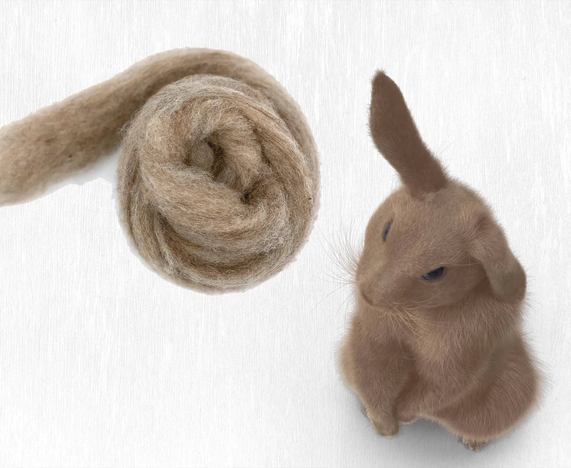 Rabbit.
