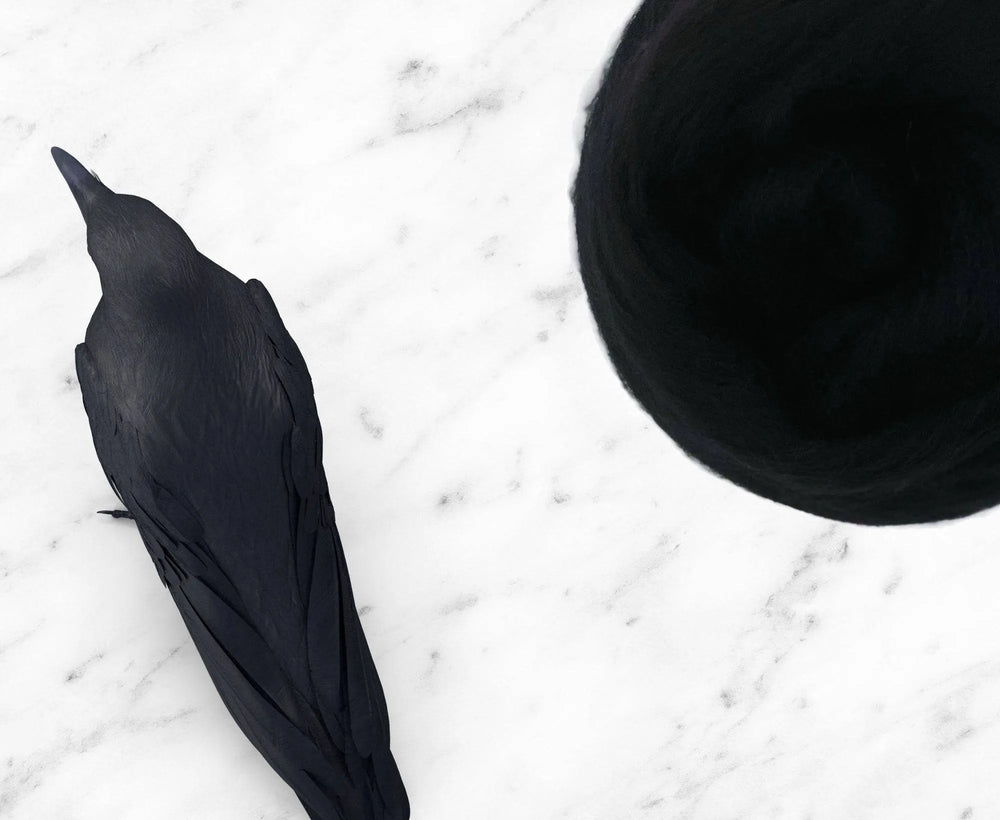 Corriedale Raven.