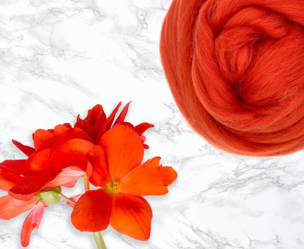 Merino Begonia.