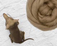 Shetland Hound.