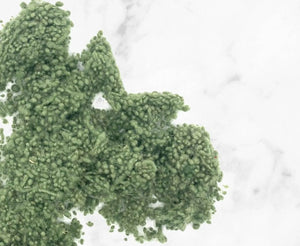 Wool Nepps Olive Effect Fibres WoW