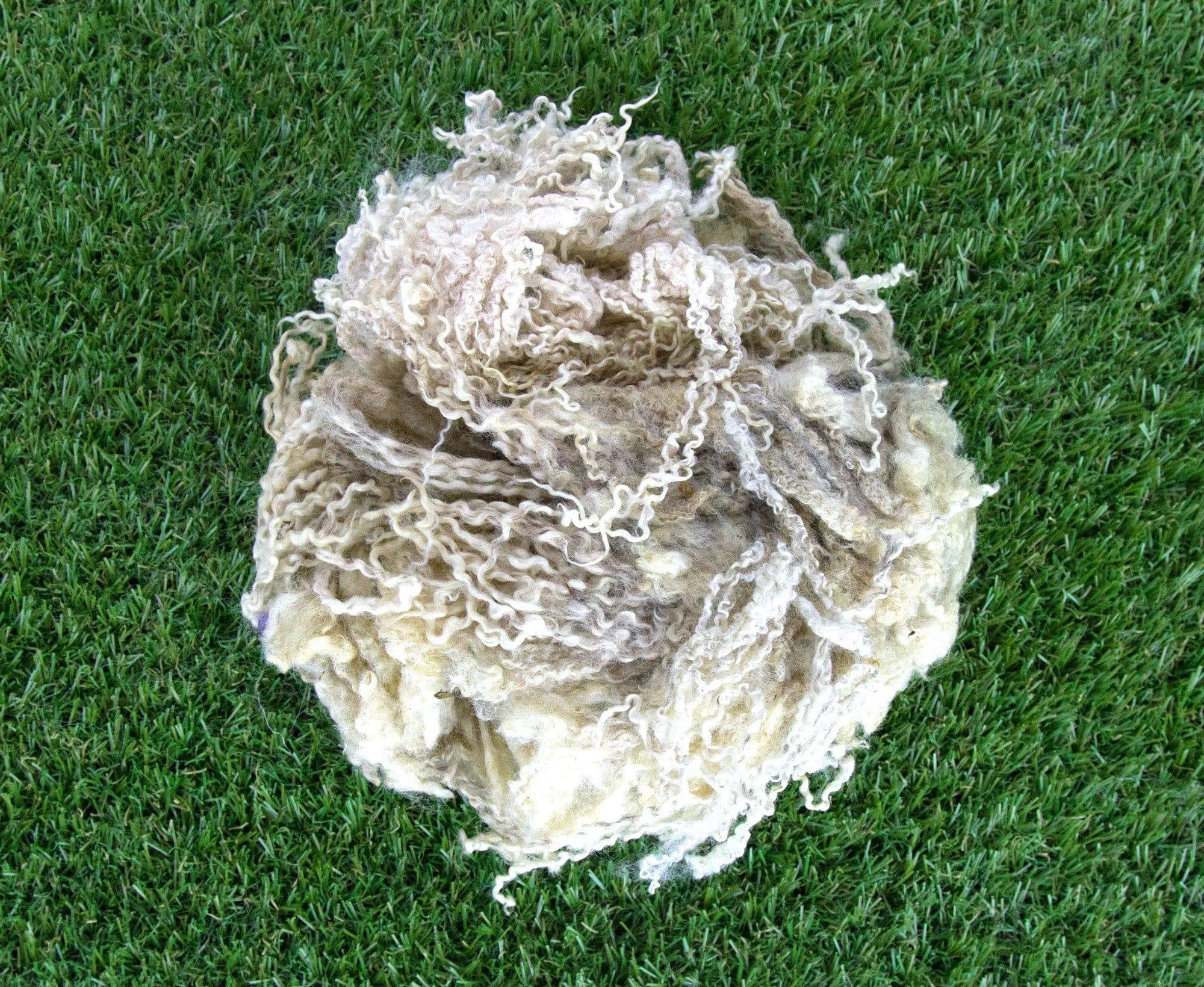 Greasy Raw Blue Faced Leicester Fleecewool.