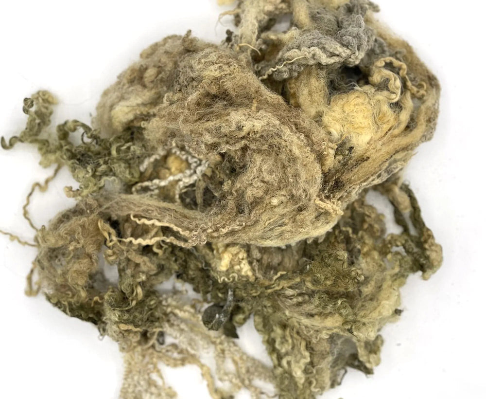Greasy Raw Blue Faced Leicester Fleecewool.