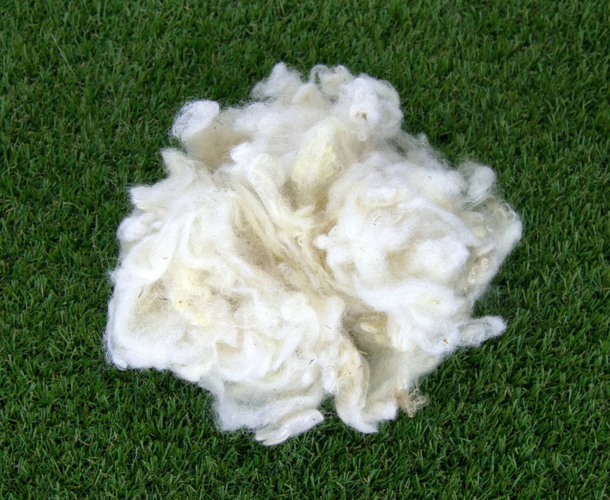 Scoured Blue Faced Leicester Fleecewool.