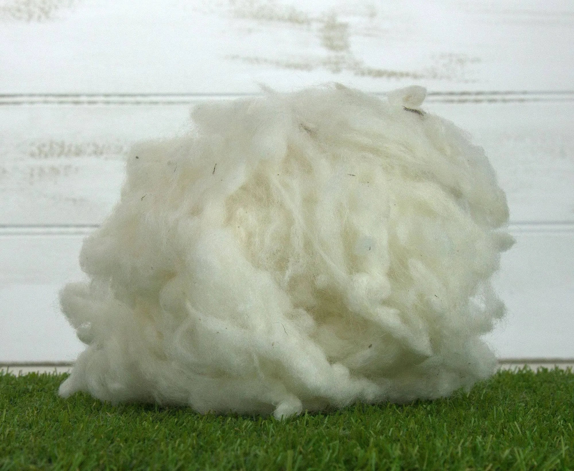 Scoured Corriedale Fleecewool - World of Wool