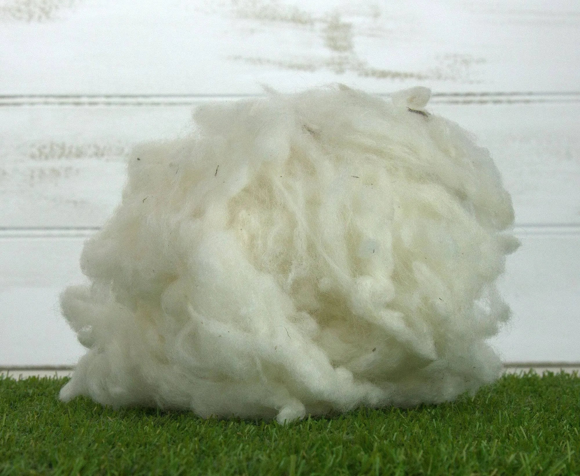 Scoured Corriedale Fleecewool.