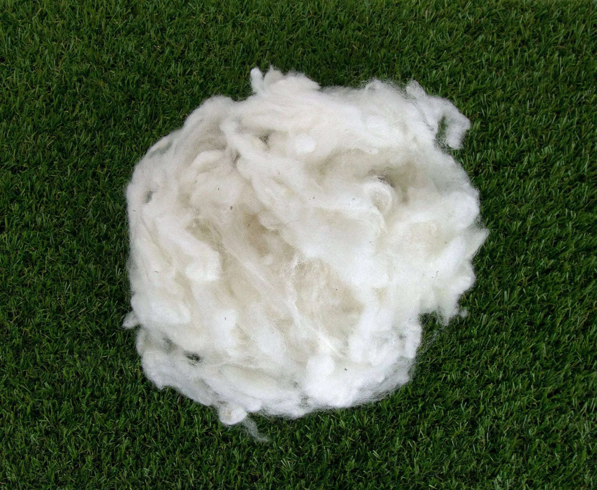 Scoured Corriedale Fleecewool.
