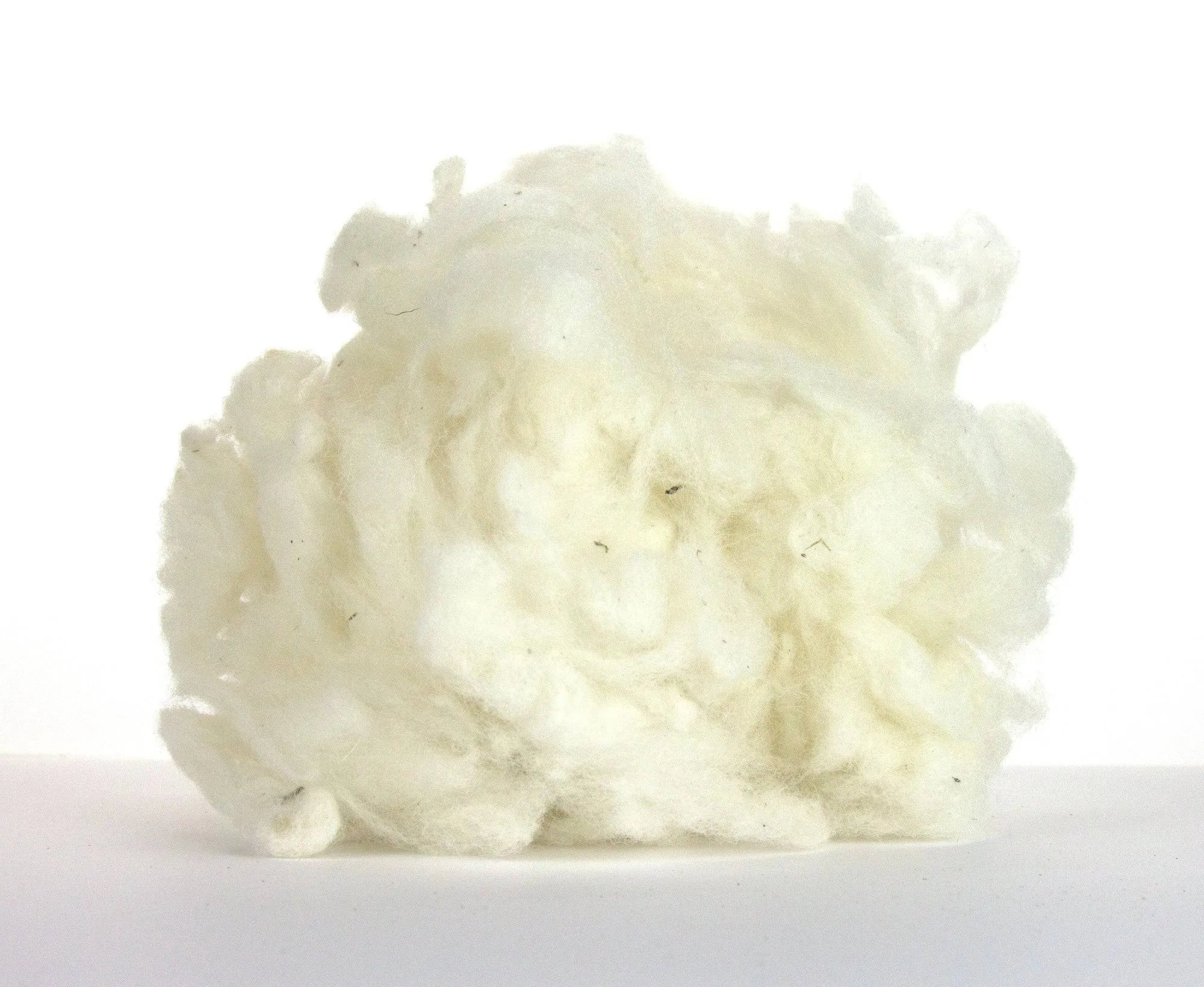 Scoured Corriedale Fleecewool.