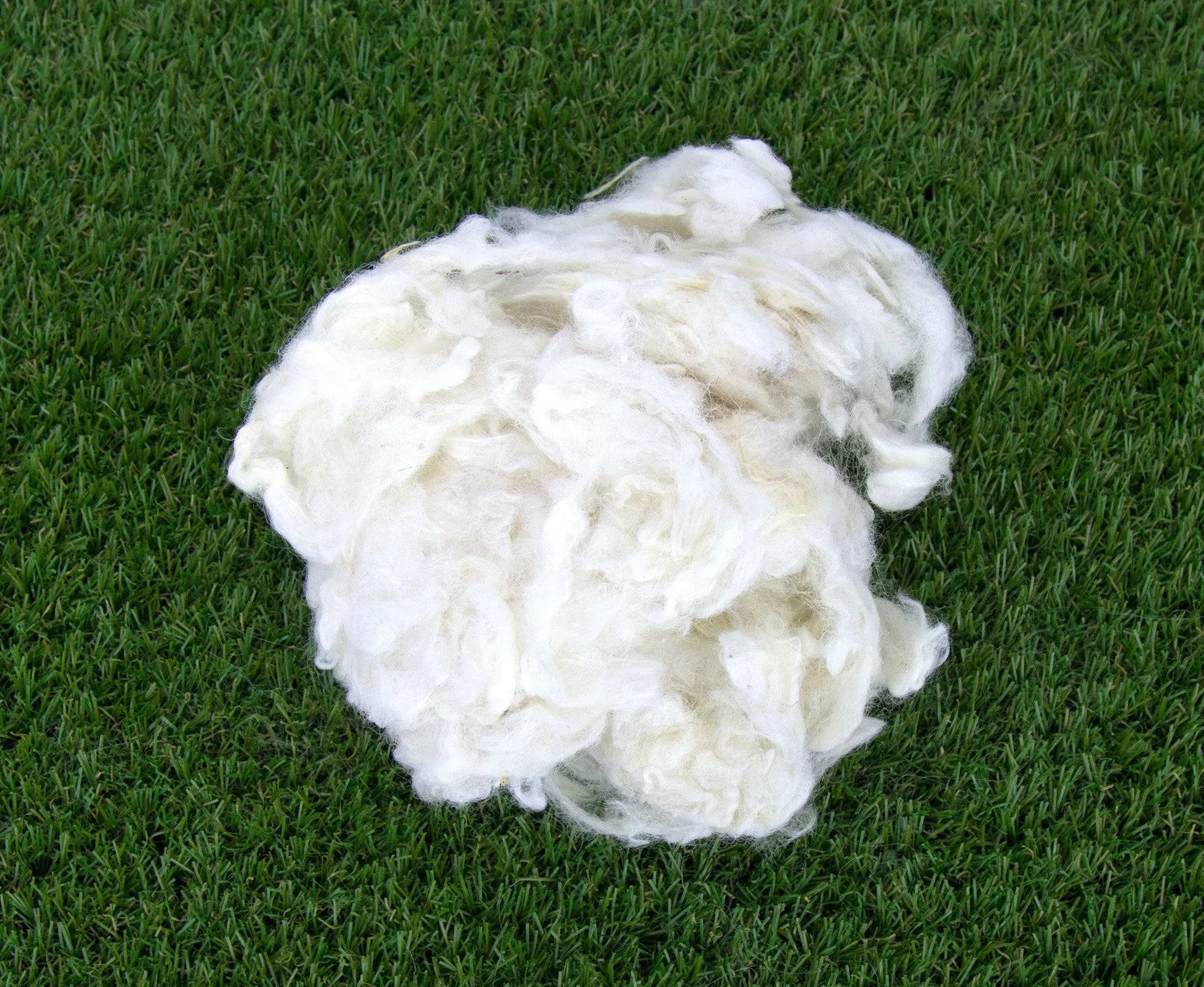 Scoured Perendale Lambswool.
