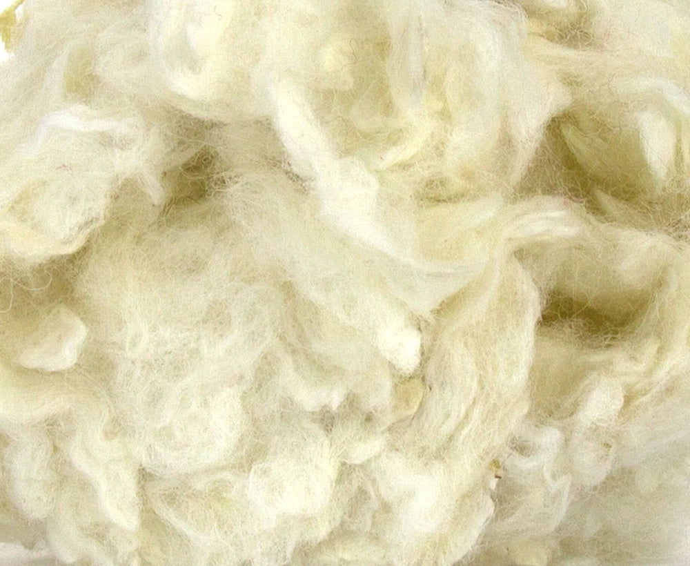Scoured Perendale Lambswool.