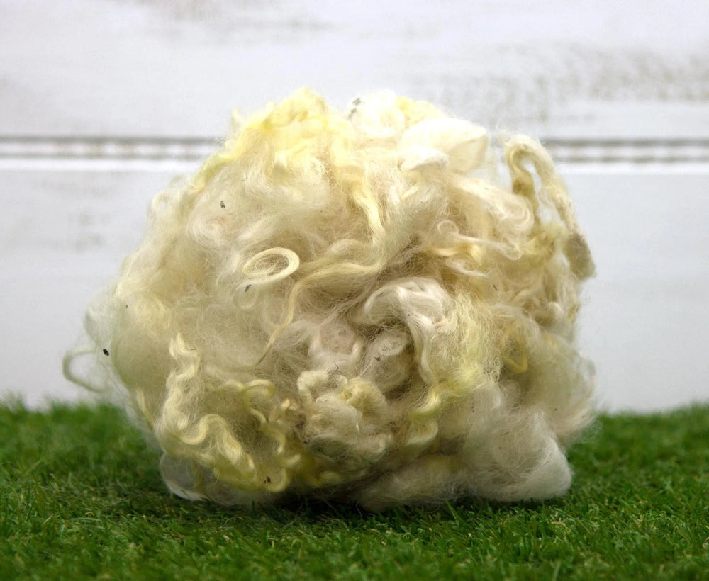Scoured Wensleydale Longwool Fleecewool.