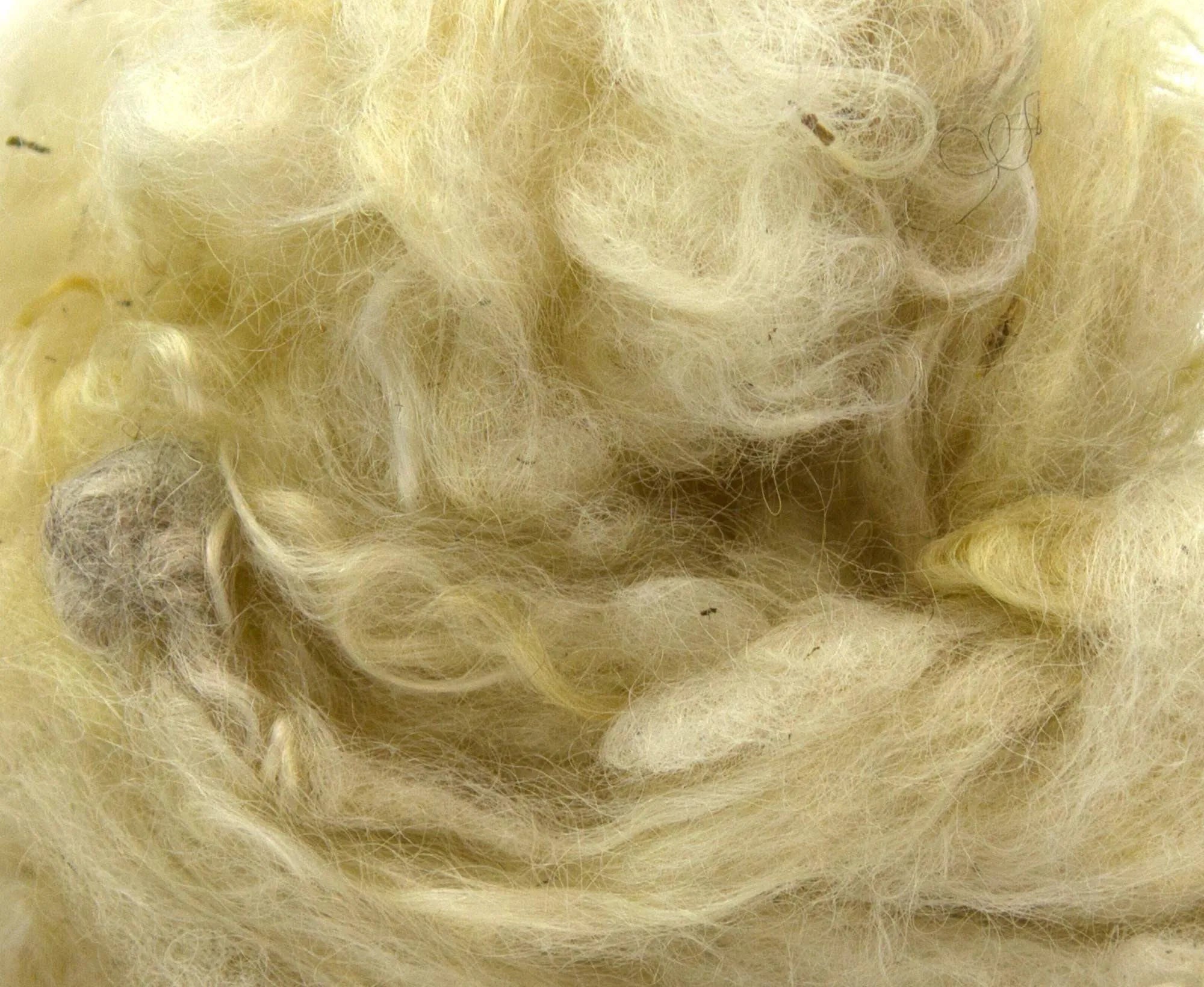 Scoured Wensleydale Longwool Fleecewool - World of Wool