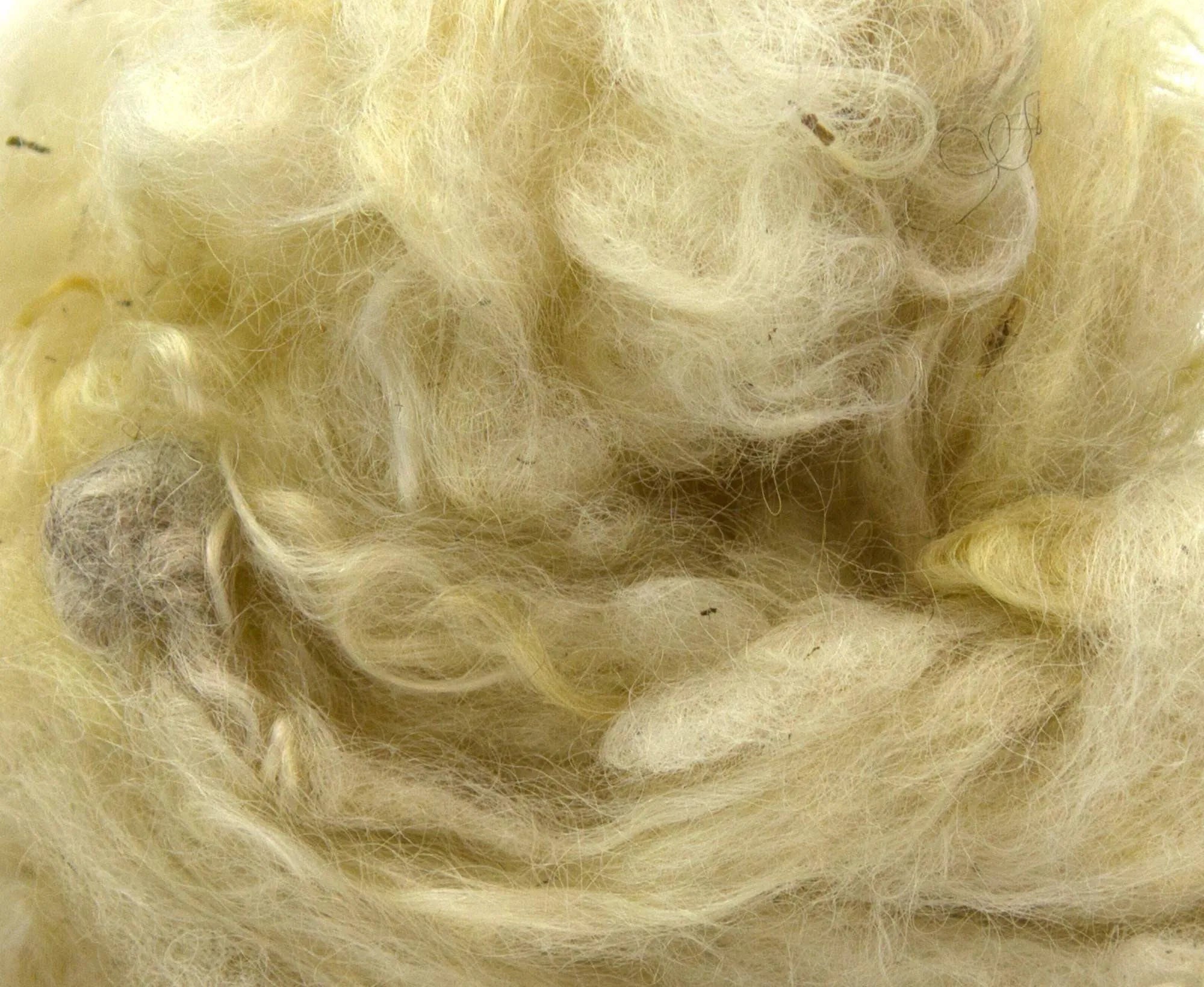Scoured Wensleydale Longwool Fleecewool.