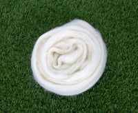 White Dorset Horn Top.