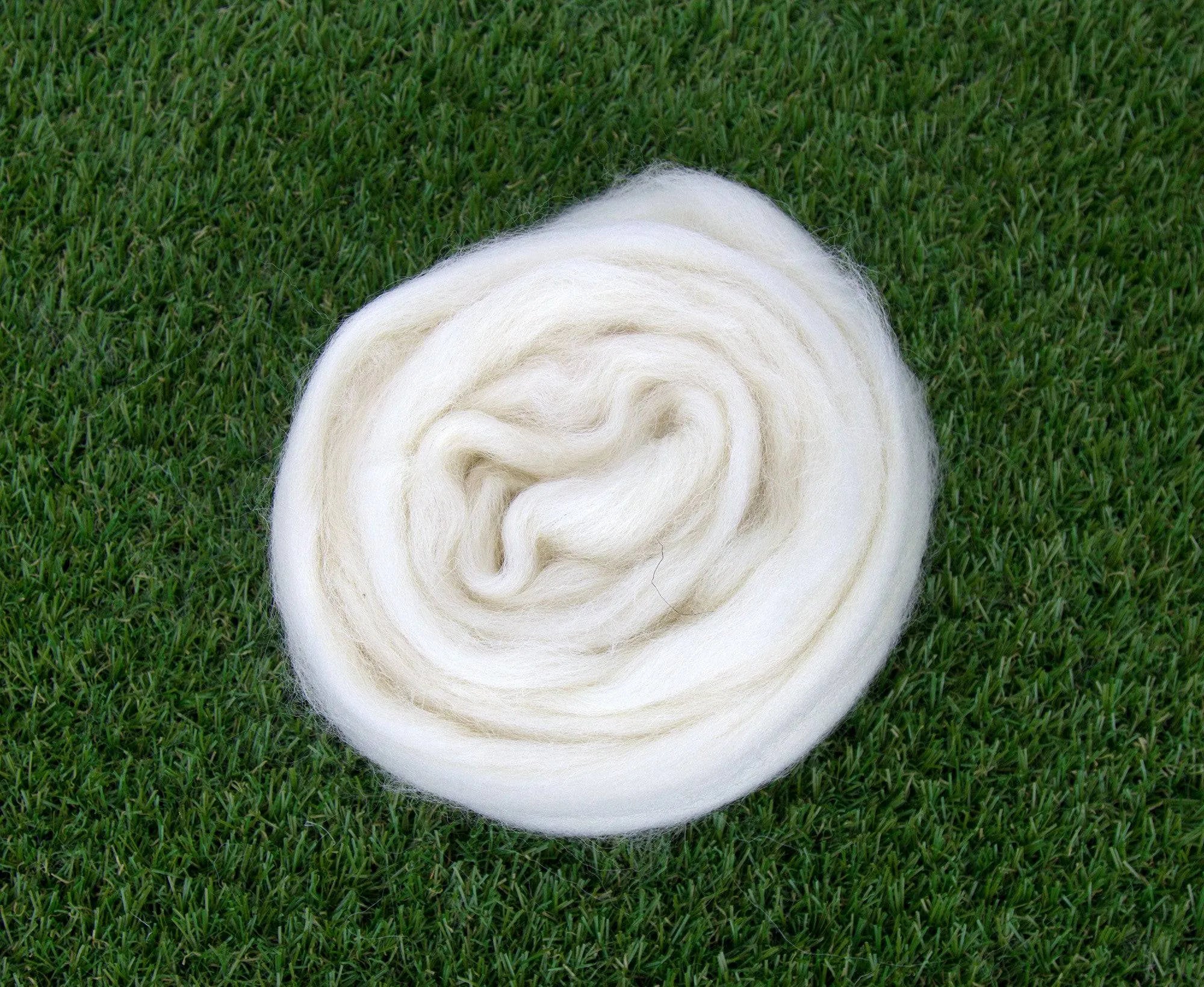 White Dorset Horn Top.