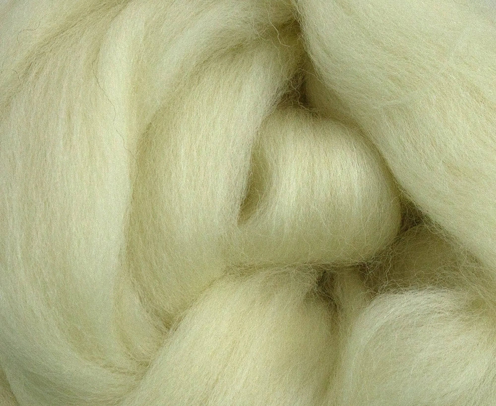 White Dorset Horn Top - World of Wool