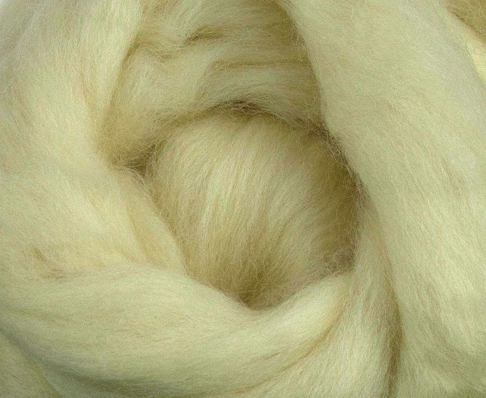 White Falkland Top.