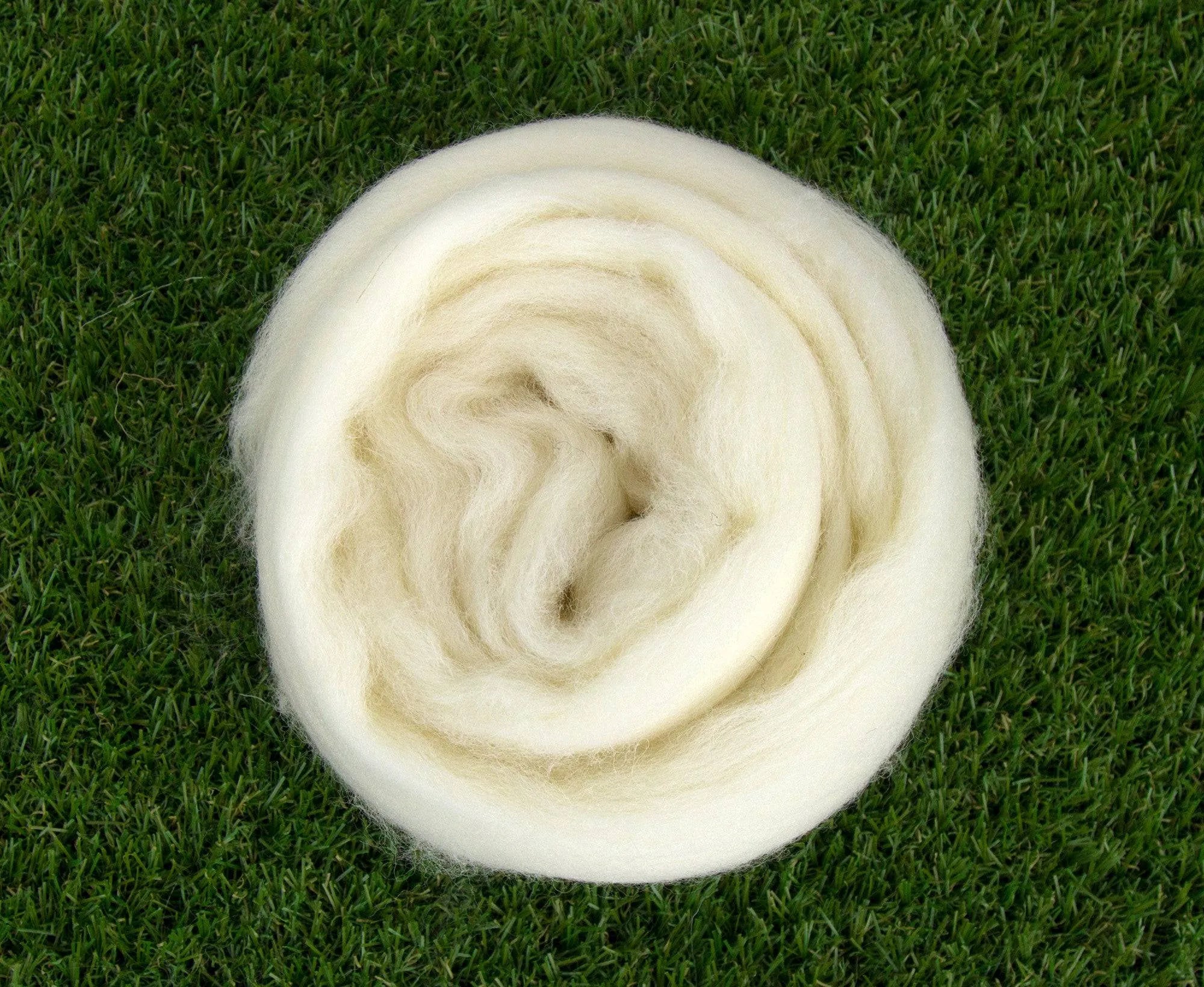 White Southdown Top.