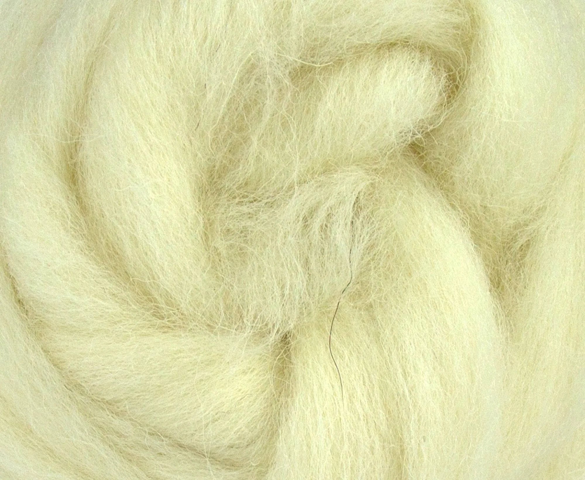 White Texel Top - World of Wool
