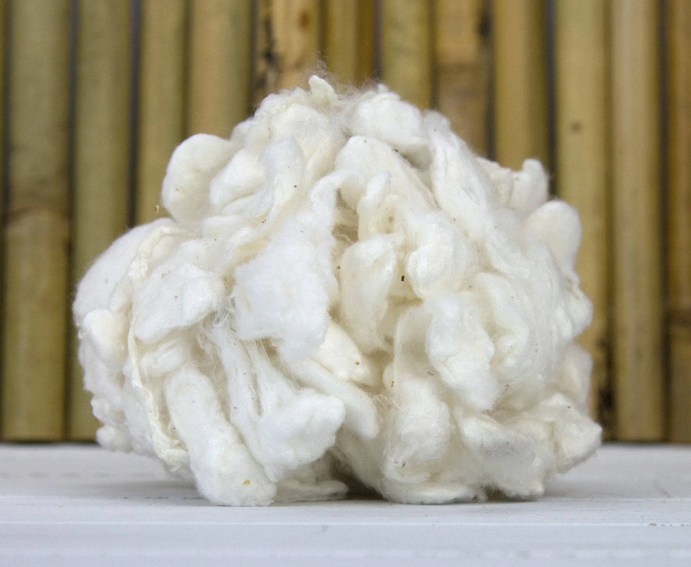 De-Gummed Silk Cocoons.