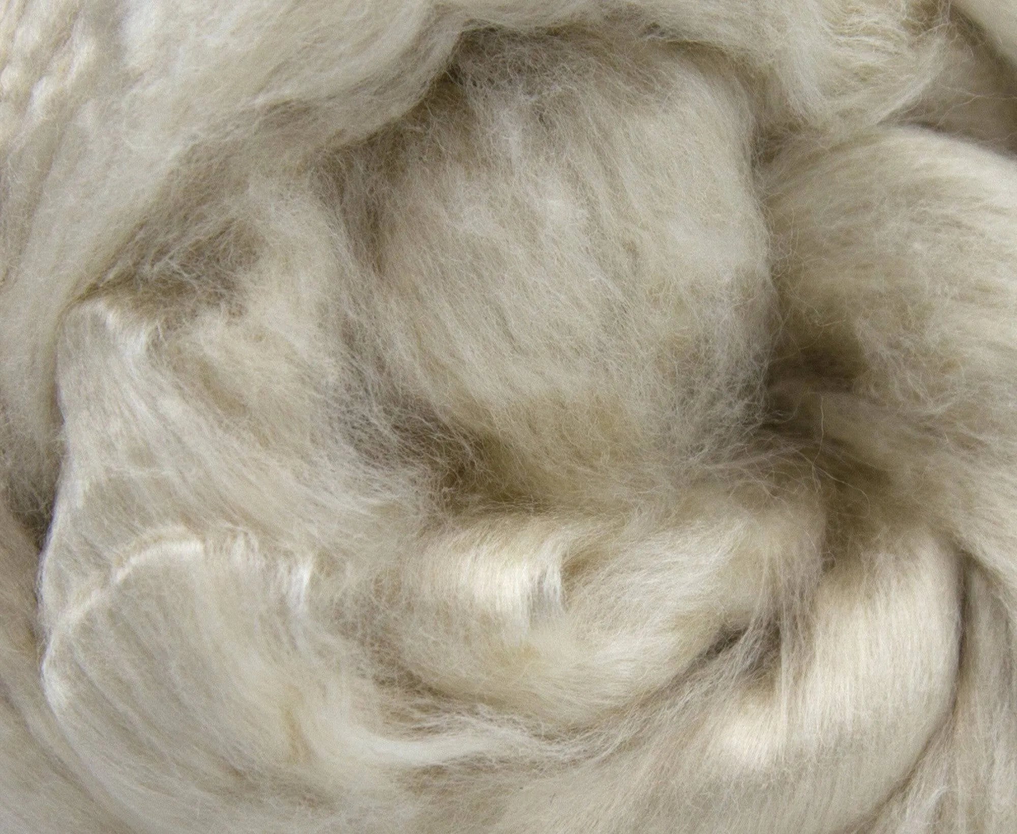 Mint Fibre Top - World of Wool