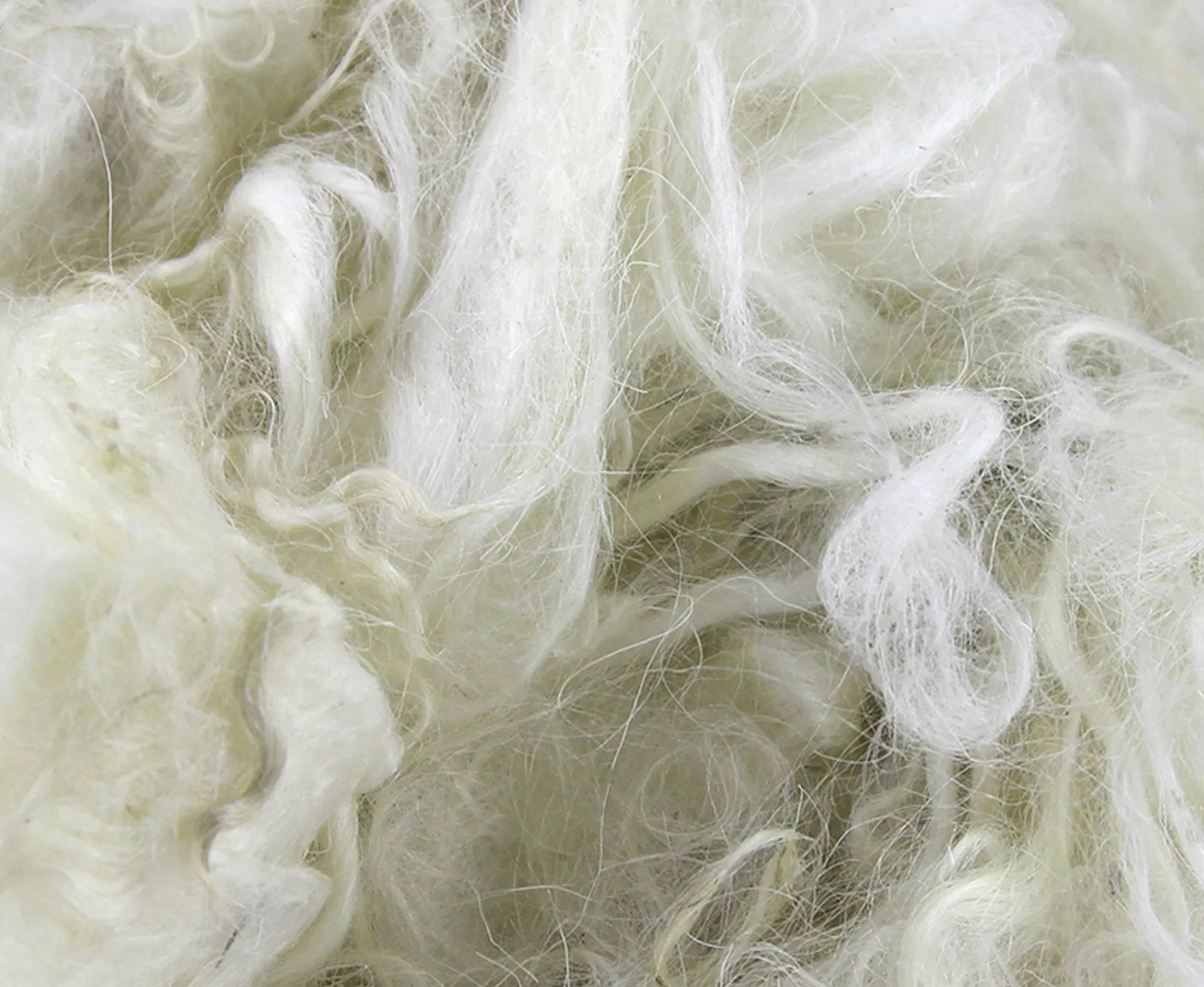 Scoured/Washed Mohair Fleece.