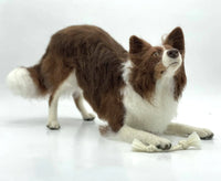 Benji The Border Collie | Artisan Needle Felting Kit.